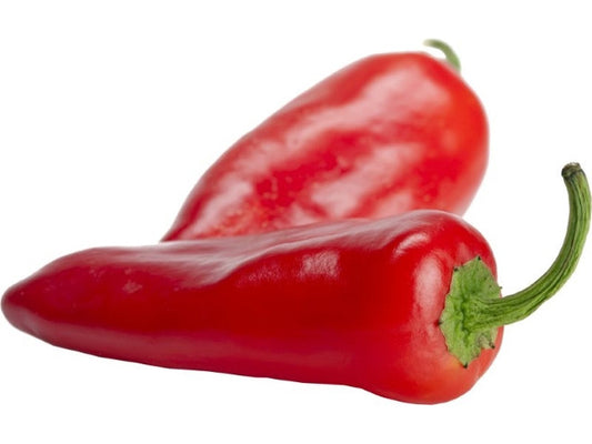Puntpaprika Rood